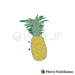 Pineapple maze